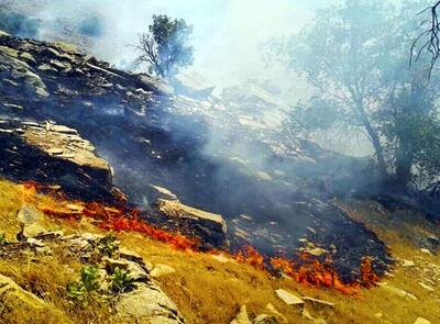 آتش‌سوزی در مراتع پلدختر و کوهدشت | اقتصاد24