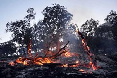 حجم گسترده آتش سوزی در جنگل های پلدختر / درخواست برای اعزام  بالگرد
