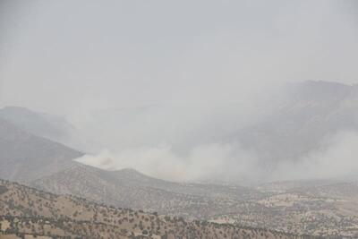 مهار آتش سوزی منطقه جنگلی هانیوان شهر ایلام