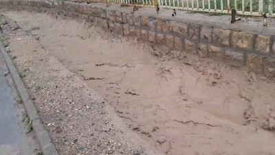 بارش باران معابر روستای لزور فیروزکوه را سیلابی کرد + فیلم