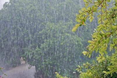 بارش شدید باران در دومین روز تابستان در مشهد (فیلم)