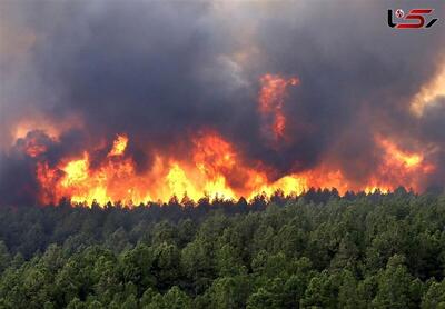 جنگل های پلدختر در محاصره آتش