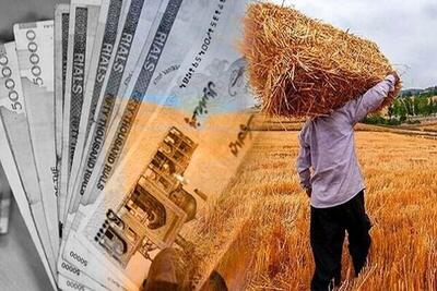 رشیدی: ۳۳۶ هزار تن گندم تضمینی در فارس خریداری شد