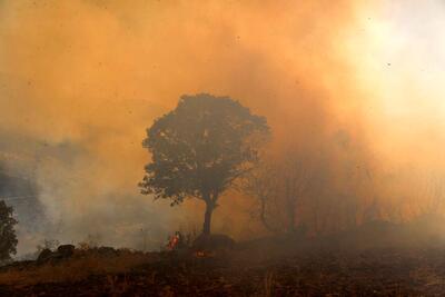 آتش سوزی هزار و ۲۲۷ هکتار جنگل و مرتع  زاگراس طی یک هفته