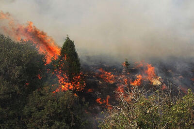 نمای هوایی از وضعیت جنگل‌های پلدختر بعد از آتش‌سوزی | ویدئو