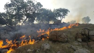 تلاش برای مهار آتش‌سوزی جنگل‌های پلدختر