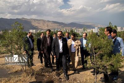 تقدیر رئیس سازمان حفاظت از محیط زیست از دادستان تهران برای احیای درختان پارک جنگلی چیتگر