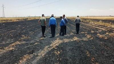 آتش سوزی مزارع گندم منطقه نهر مسیح شهرستان خاتم