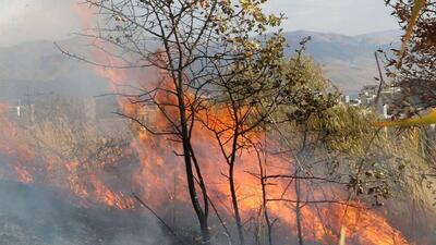 احتمال آتش سوزی در عرصه‌های طبیعی سیستان و بلوچستان وجود دارد