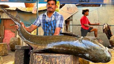 مهارت دیدنی ماهی فروش هندی در برش زدن یک ماهی کوبیا ۳۱ کیلویی (فیلم)