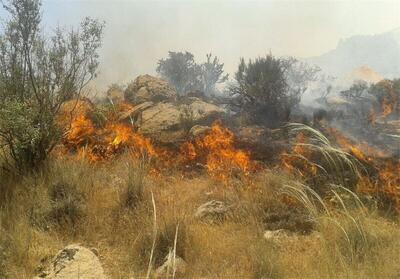 جنگل‌های پلدختر بعد از سه روز همچنان در آتش می‌سوزند
