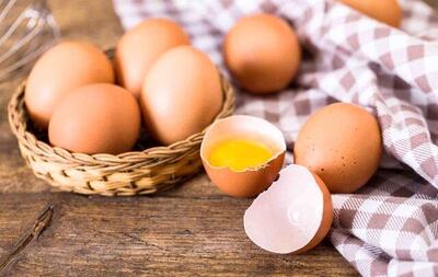 کاهش وزن با مصرف تخم‌مرغ |مصرف چند تخم‌مرغ در هفته بی‌خطر؟