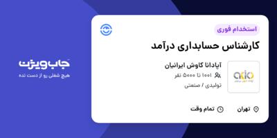 استخدام کارشناس حسابداری درآمد در آپادانا کاوش ایرانیان