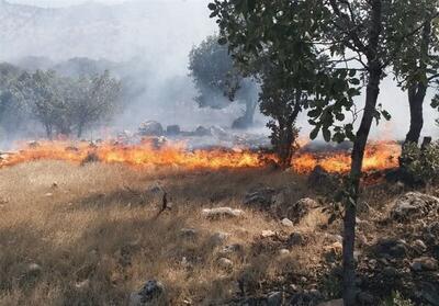 آتش همچنان جنگل‌های پلدختر را در می نوردد