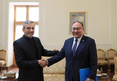 دیدار معاون وزیر خارجه قزاقستان با علی باقری - تسنیم