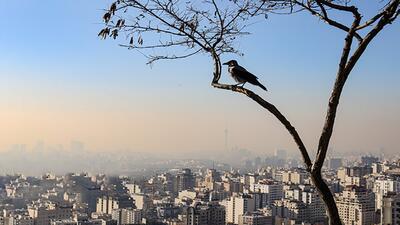وضعیت هوای تهران نارنجی شد/ افزایش ذرات معلق در هوای پایتخت