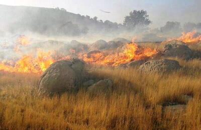 سوزاندن بقایای محصولات کشاورزی در لالی