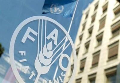 پیش بینی فائو از تولید ۲۰ میلیون تن غله در ایران