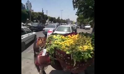 تصویر وایرال شده از کار عجیب یک میوه فروش در شیراز