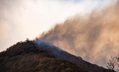 آتش‌سوزی در جنگل‌های پلدختر بامداد امروز مهار شد/ شناسایی عامل حریق اراضی پلدختر