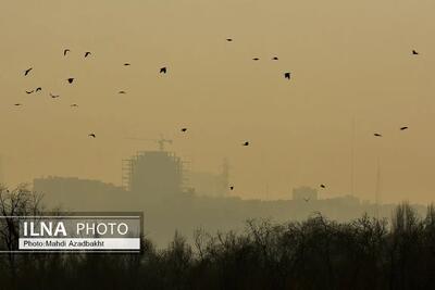 وضعیت نارنجی و قرمز آلودگی هوا در ۷ شهر خوزستان