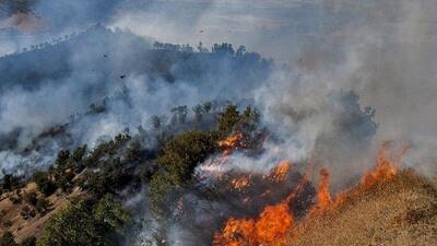 دستگیری ۱۷ نفر به خاطر آتش‌سوزی جنگل‌های لرستان