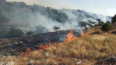 آتش به جان مزارع اسدآباد افتاد