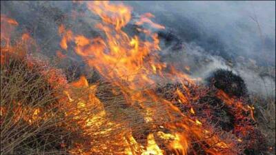 آتش به جان مزارع اسدآباد افتاد
