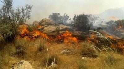 آتش‌سوزی جنگل‌های پلدختر پس از ۴ روز مهار شد