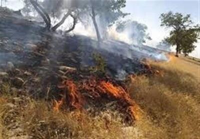 آتش‌ در 170 هکتار از جنگل‌های چگنی/ شناسایی مظنونان- فیلم فیلم استان تسنیم | Tasnim