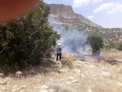 آتش‌سوزی در منطقه حفاظت شده تنگ بستانک مهار شد