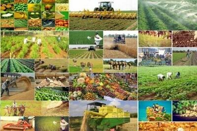 صادرات محصولات کشاورزی رشد کرد