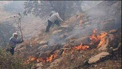 آتش سوزی منطقه حفاظت شده دیل در گچساران مهار شد