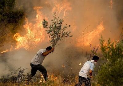 فیلم| تصاویری تازه از آتش‌سوزی شدید جنگل‌ها در ترکیه