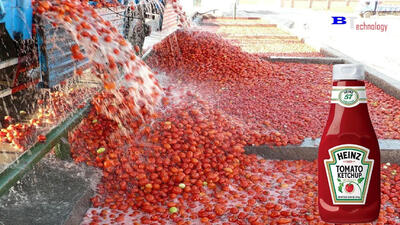 (ویدئو) فرآیند ساخت سس گوجه مشهور در یک کارخانه مدرن آمریکایی