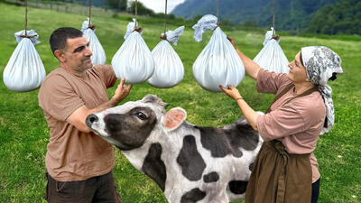 (ویدئو) نحوه تهیه پنیر خانگی با شیر تازه گاو توسط زوج آذربایجانی