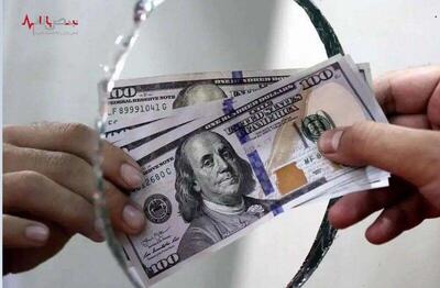 آیا دلار بعد از انتخابات صعودی می شود؟