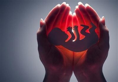 جلوگیری از 405 سقط جنین در فارس توسط مرکز نفس - تسنیم