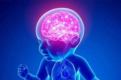 کشف شباهت های خیره کننده بین مغز نوزاد و هوش مصنوعی