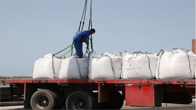 افزایش ۵۶ درصدی صادرات سیمان از بندر امیرآباد به کشور‌های حوزه سی آی اس
