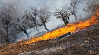 شناسایی۲۳ مظنون آتش سوزی جنگل‌های لرستان