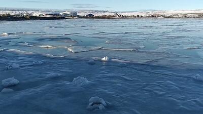 فیلم| یخ زدن اقیانوس در جنوب شیلی