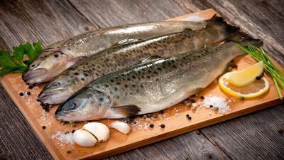 قیمت انواع ماهی در بازار ۱۱ تیر ۱۴۰۳ /جدول