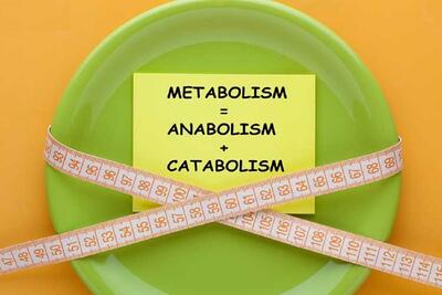 افزایش متابولیسم بدن با چند راهکار ساده(+ تست متابولیسم و تفسیر نتایج)