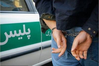 عامل سرقت از ۳۵ خودرو در تهران بازداشت شد