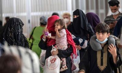 با دیوارکشی مرزها می‌توان مشکل مهاجران افغانستانی را حل کرد؟/ رییس انجمن مددکاران اجتماعی: ما در ایران اصلا نمی‌دانیم سیاست‌های مهاجرتی چیست