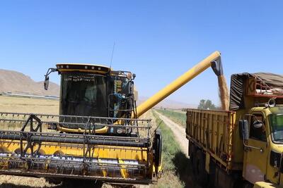 عملیات خرید تضمینی گندم در خراسان شمالی رکورد زد