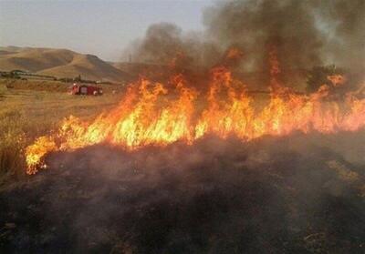 وقوع آتش سوزی در مزارع گندم اسلام آباد غرب