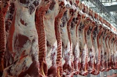 ۱۸۰ تن گوشت قرمز در استان قزوین توزیع شد