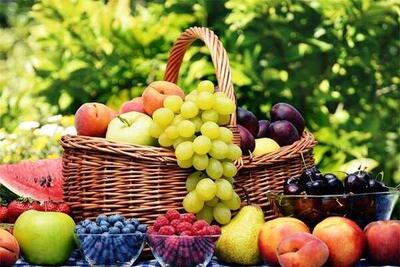 اندیشه معاصر - قیمت میوه‌ های تابستانی در میادین میوه و تره‌بار تیر ۱۴۰۳ اندیشه معاصر